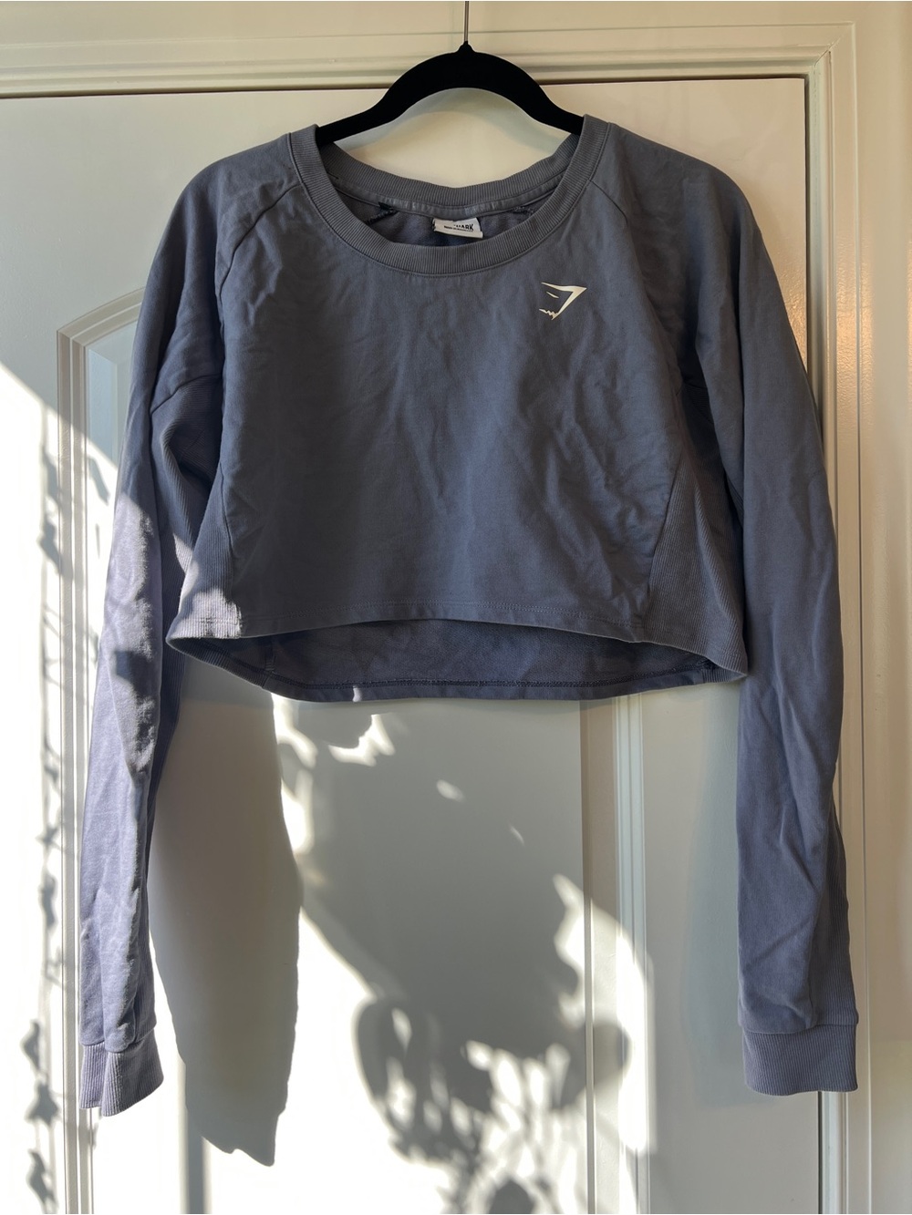 Gym shark training cropped sweater - ribbed detail